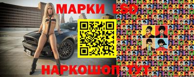 мяу мяу мука Кингисепп