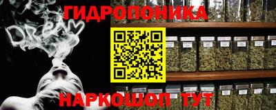 сатива Кимры