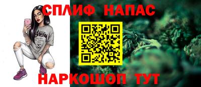 мяу мяу мука Кингисепп