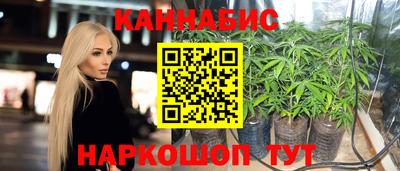 мяу мяу мука Кингисепп