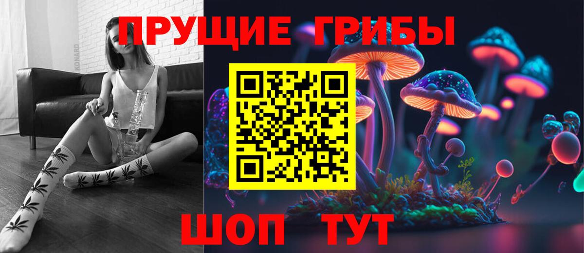 Галлюциногенные грибы GOLDEN TEACHER Буйнакск