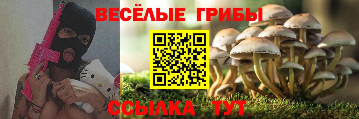 Псилоцибиновые грибы Cubensis  Галлюциногенные грибы Magic Shrooms  Буйнакск  Вход с VPN 